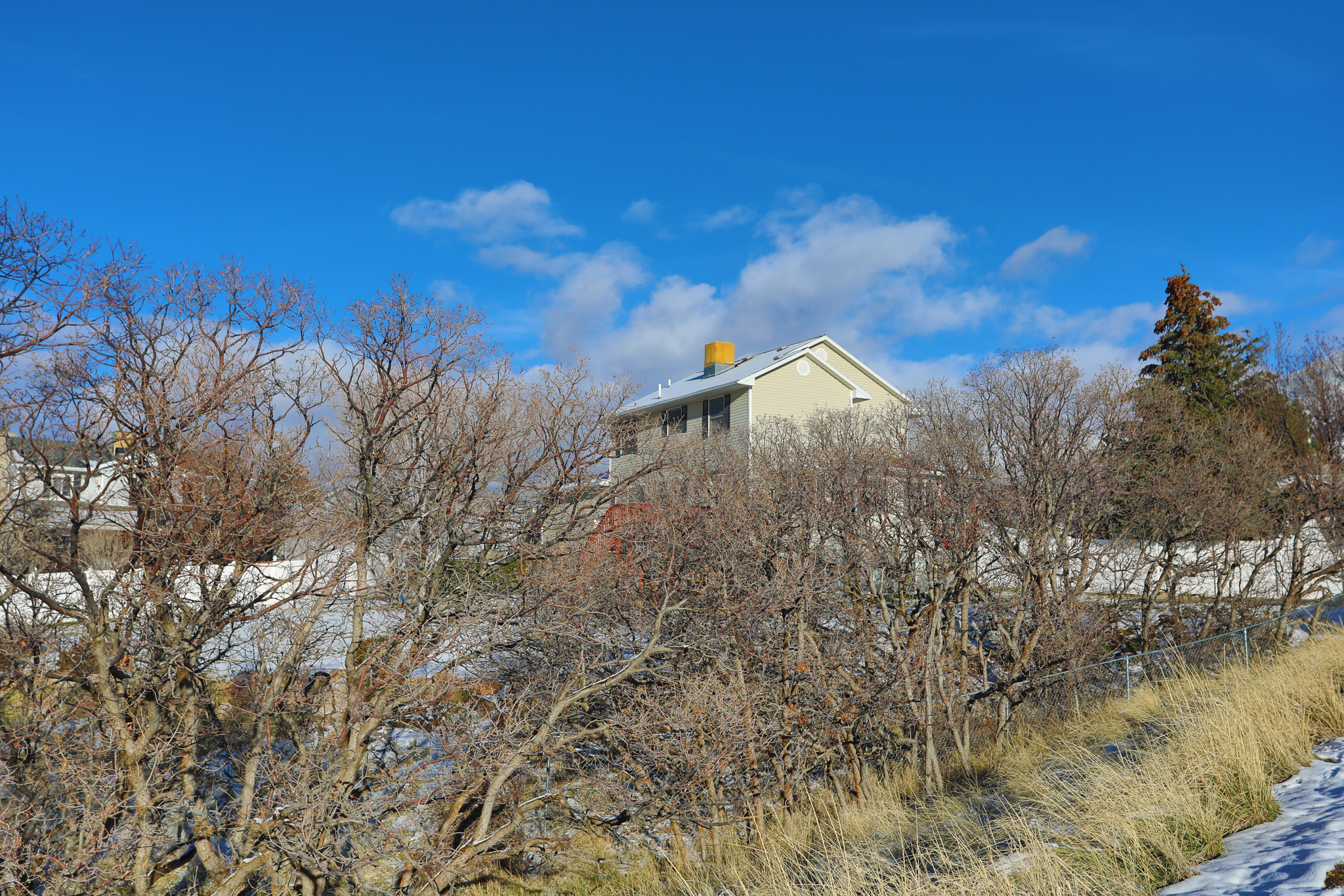 UPLAND TERRACE - Residential