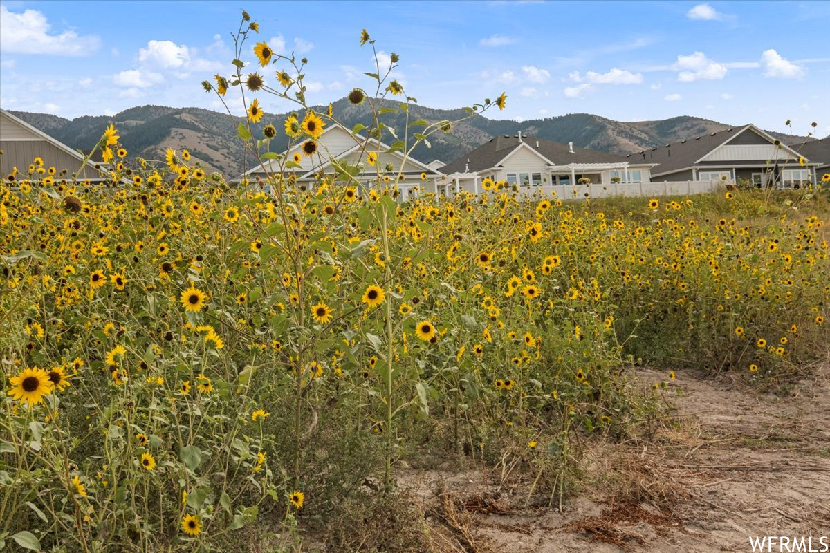 62 N 900 #42, Hyde Park, Utah image 49