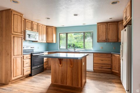 Tiny photo for 75 W 11200 S, Woodland Hills, UT 84653 (MLS # 2110512)