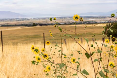 Tiny photo for 75 W 11200 S, Woodland Hills, UT 84653 (MLS # 2110512)