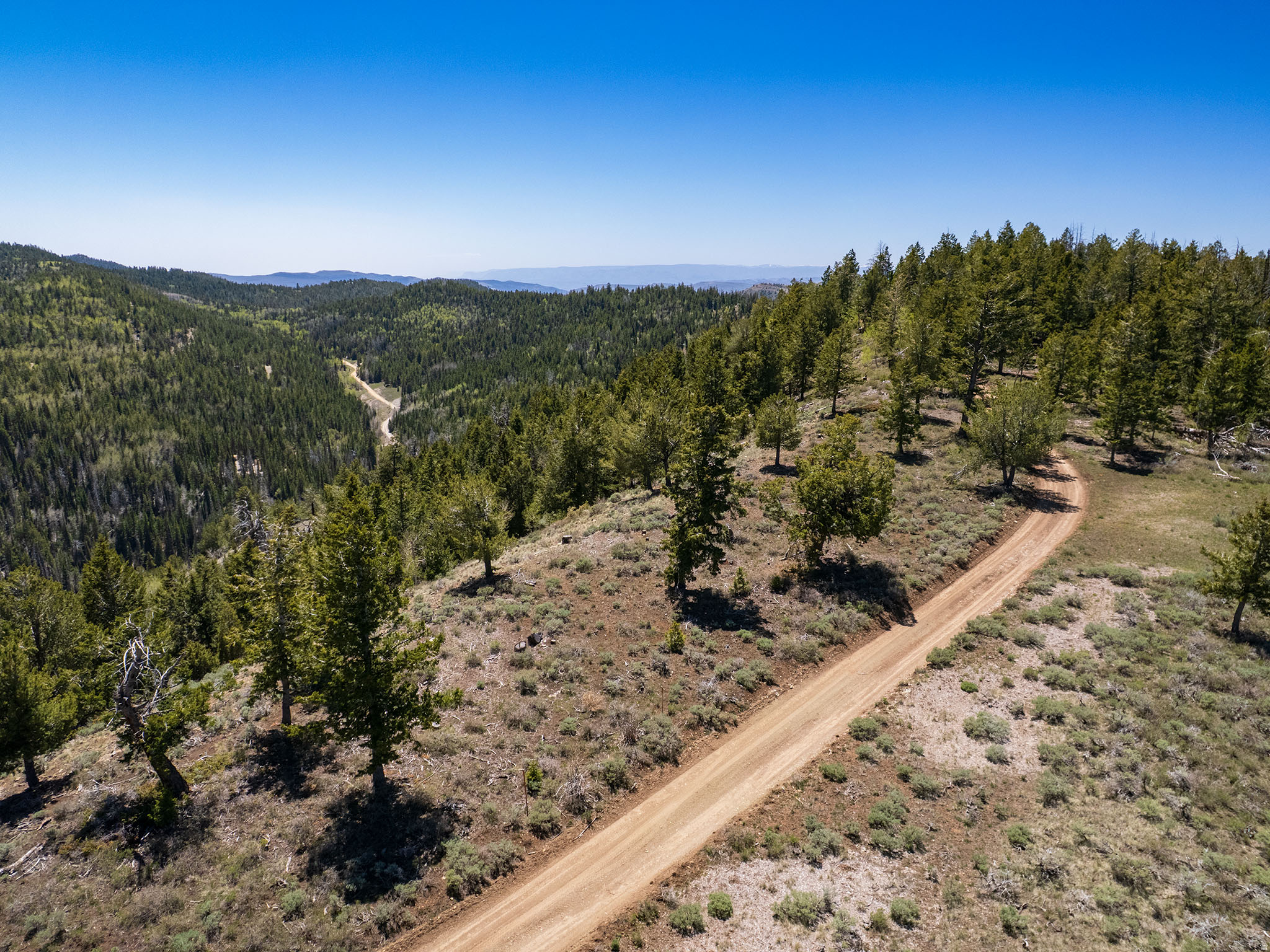 ARGYLE CANYON - Land