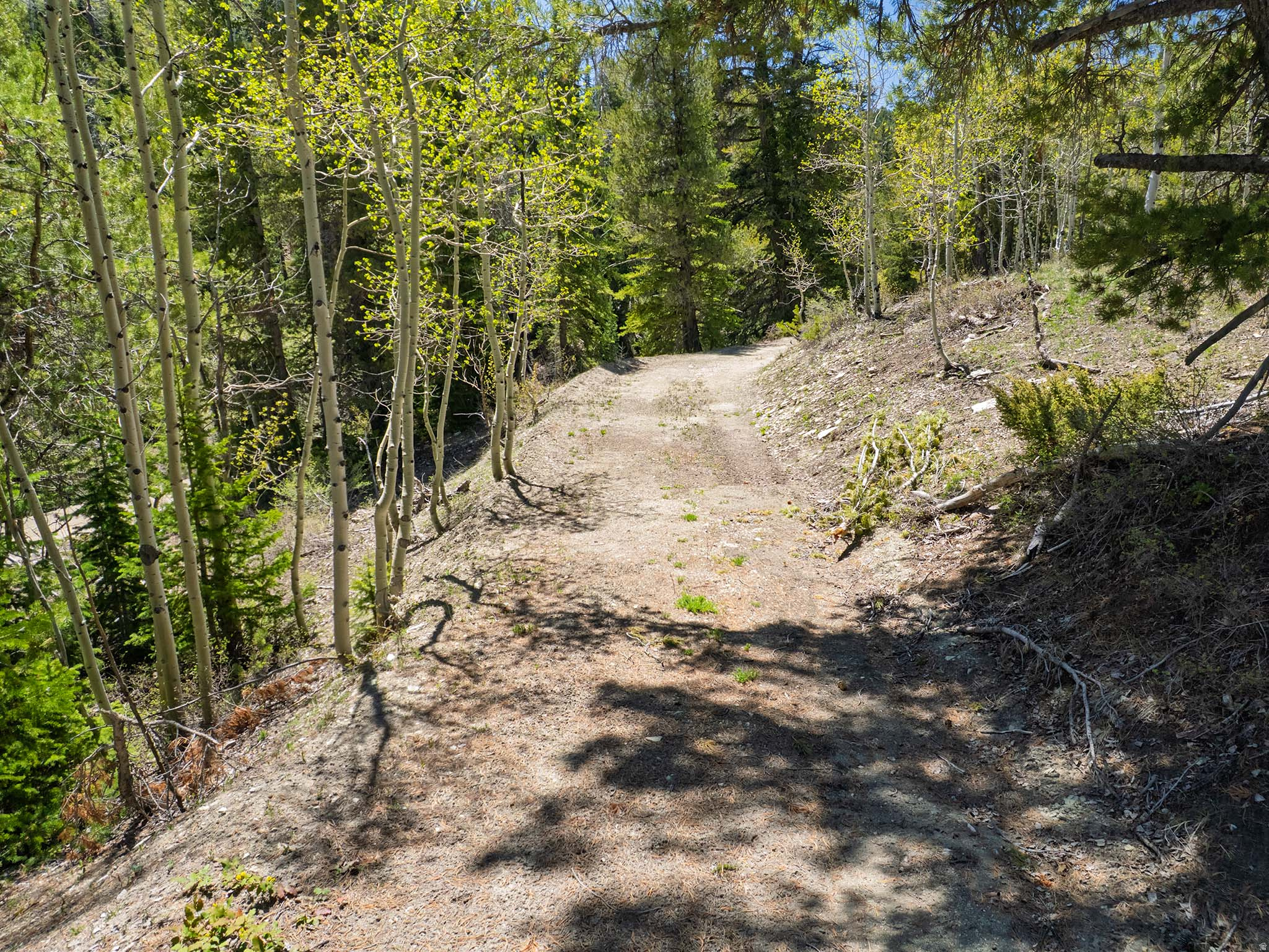 ARGYLE CANYON - Land