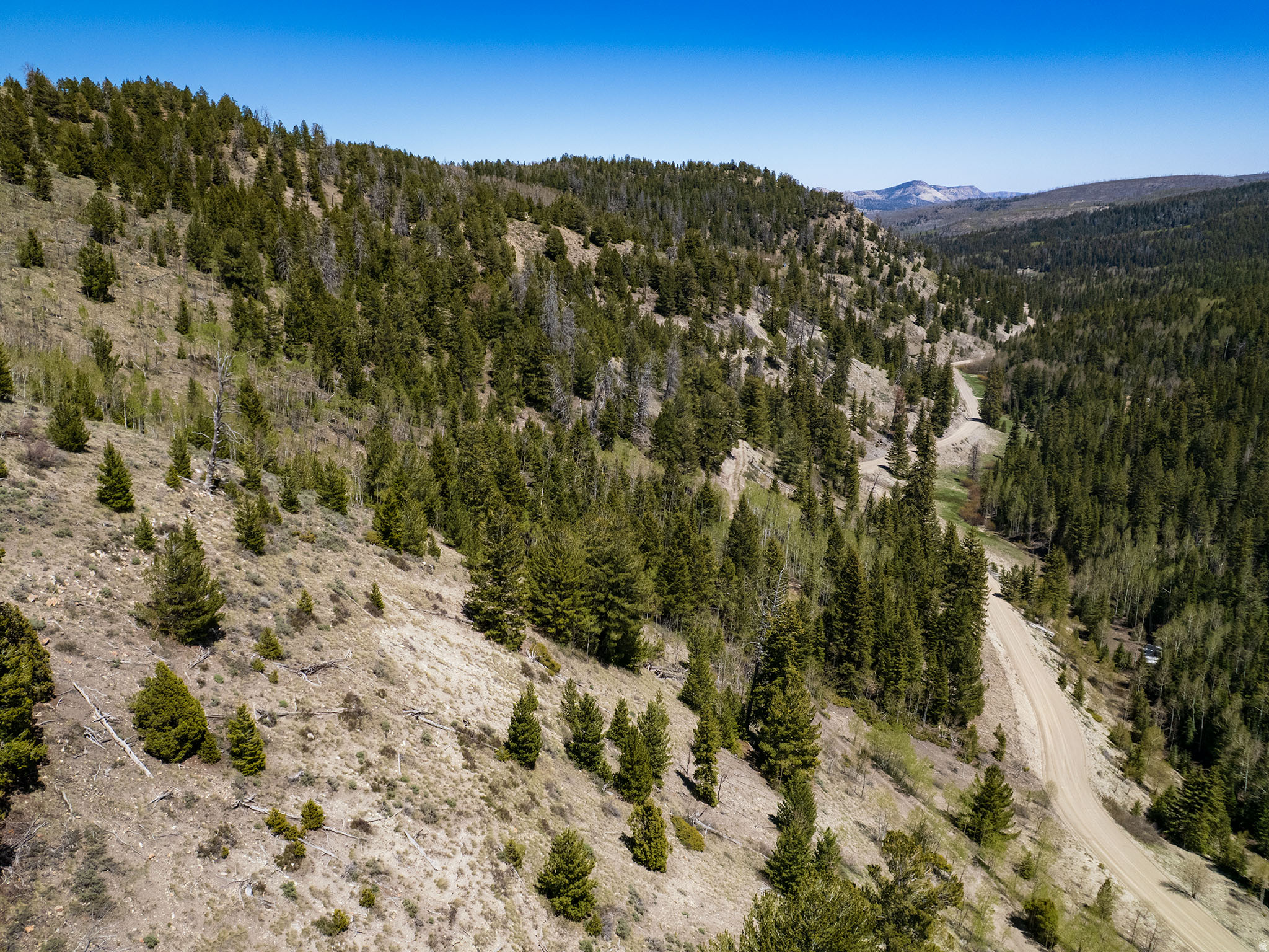 ARGYLE CANYON - Land