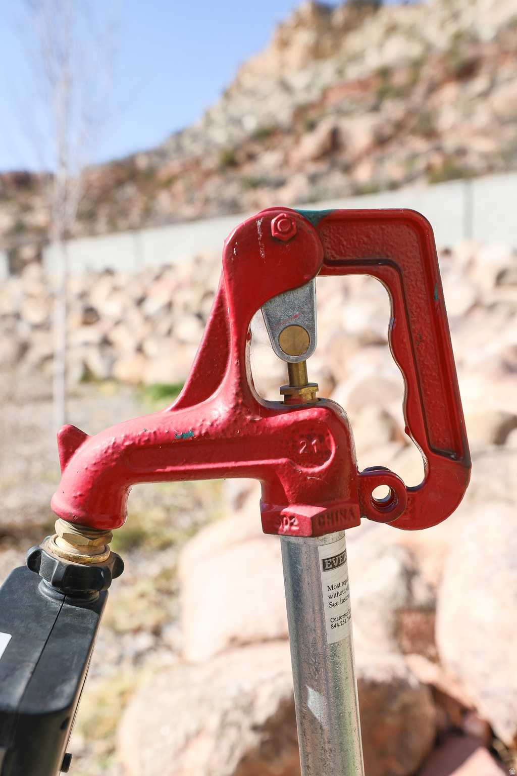 Main image without alt text