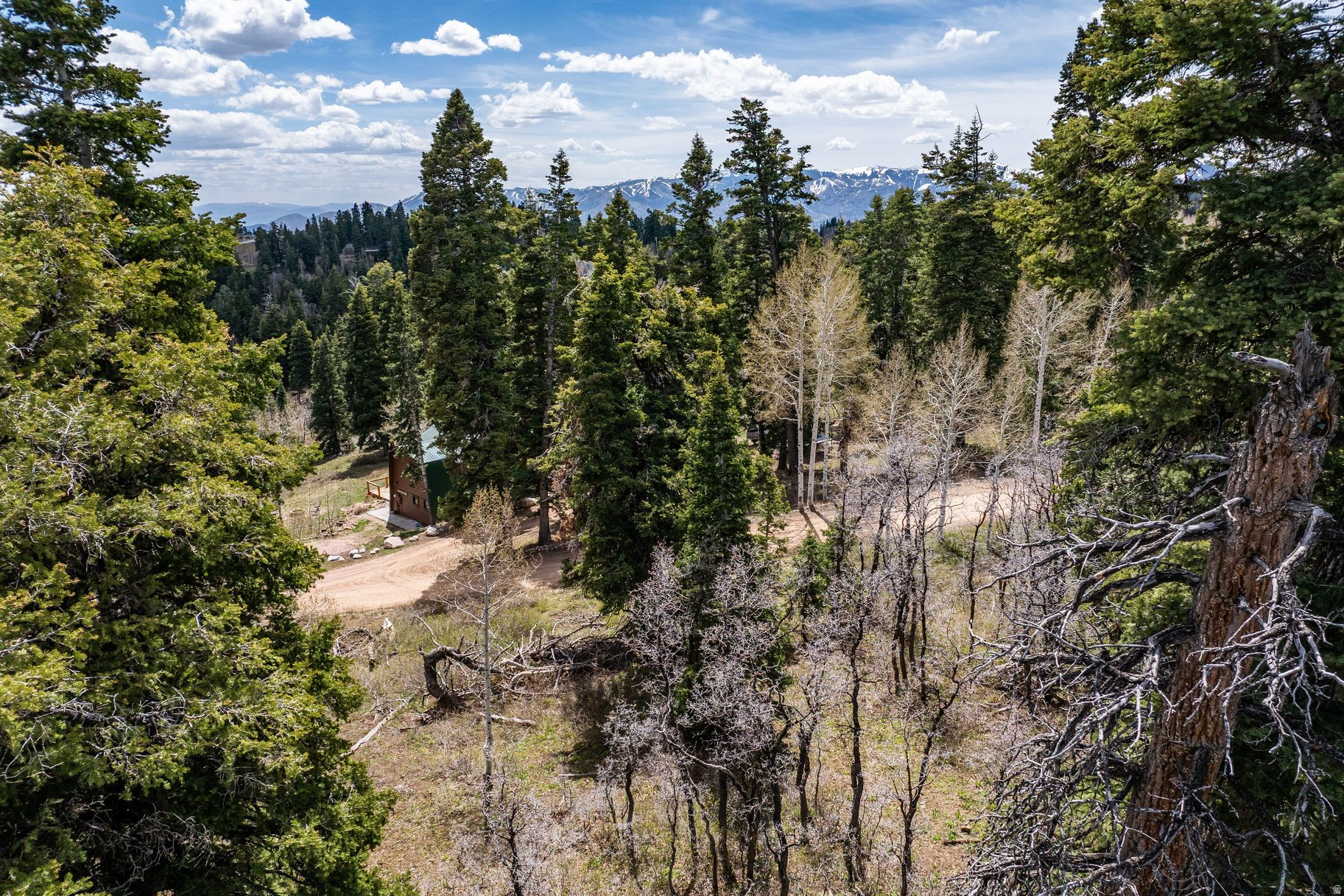 PINE MEADOW RANCH - Land