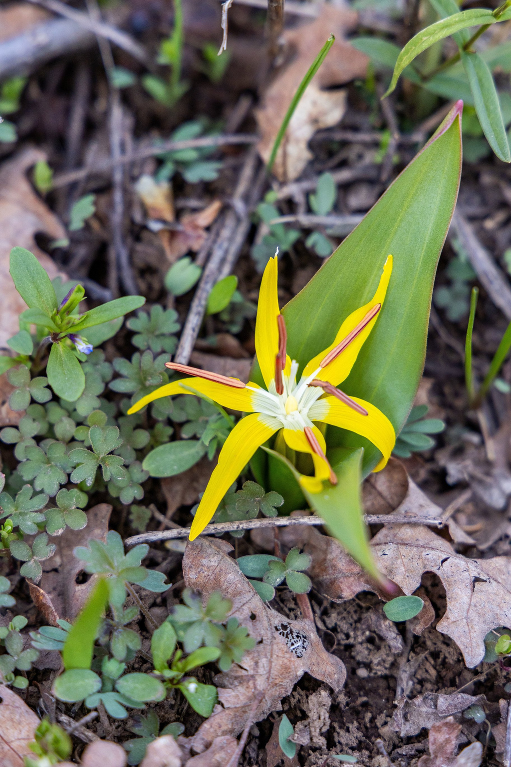 PINE MEADOW RANCH - Land