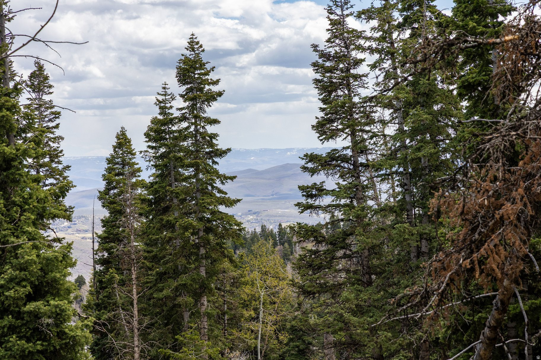 PINE MEADOW RANCH - Land