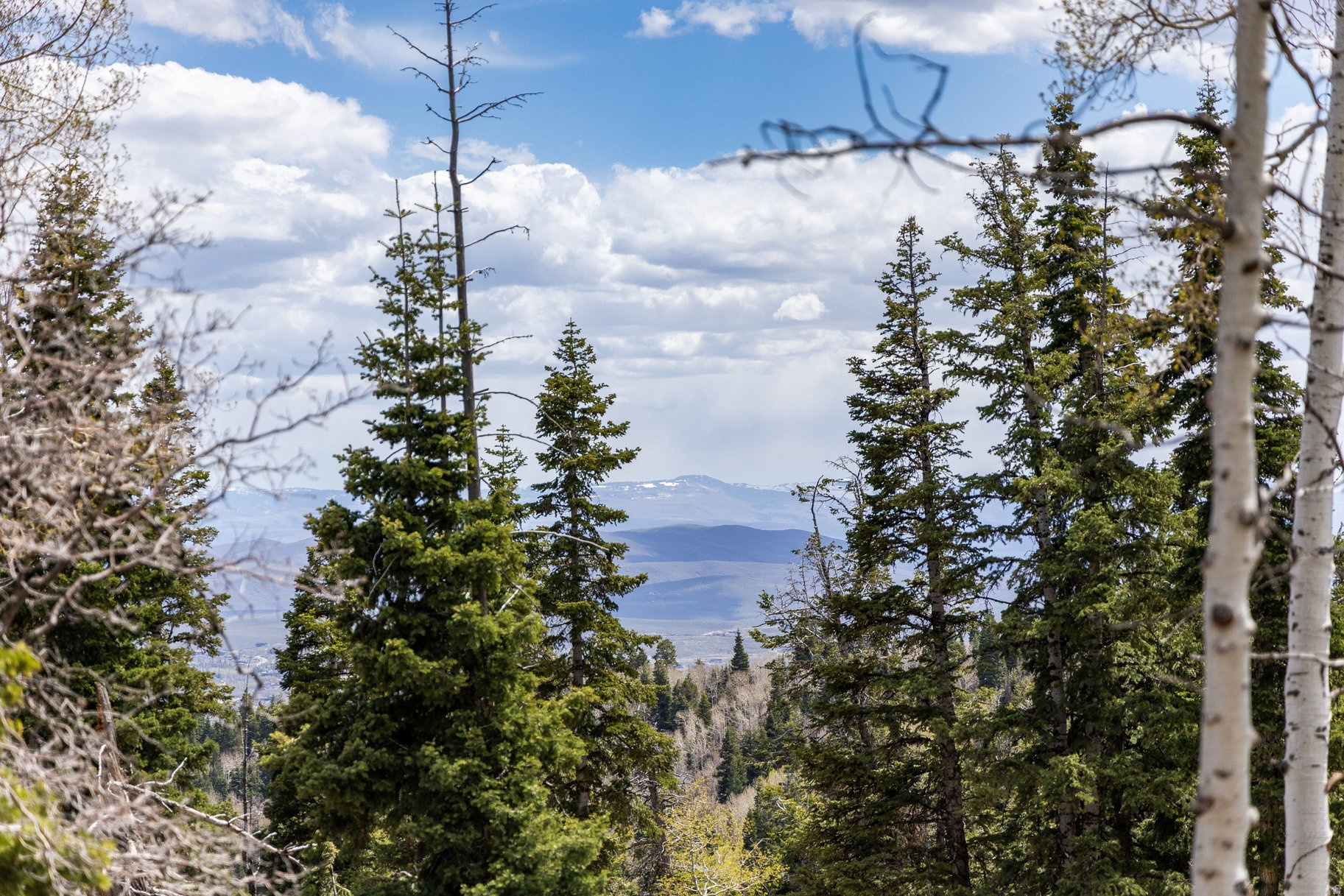 PINE MEADOW RANCH - Land