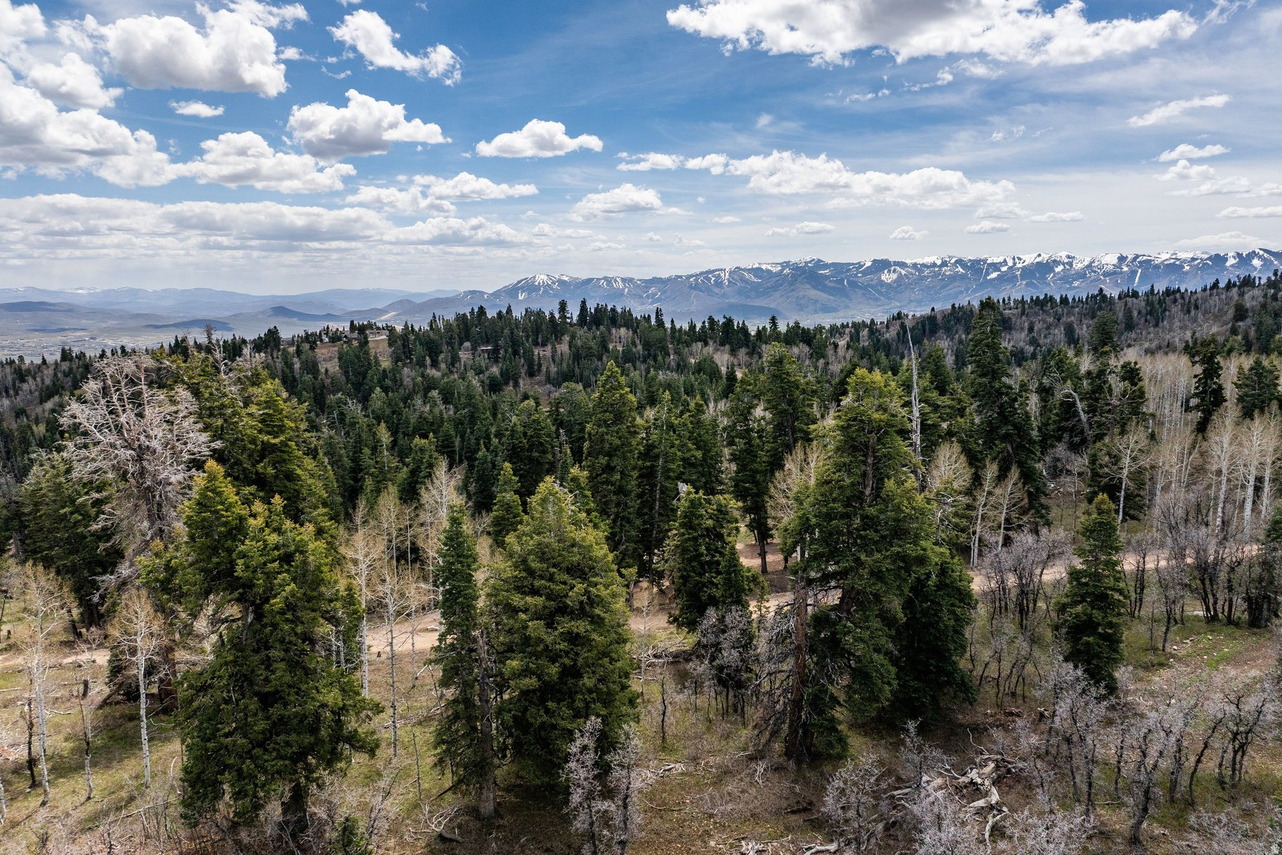 PINE MEADOW RANCH - Land