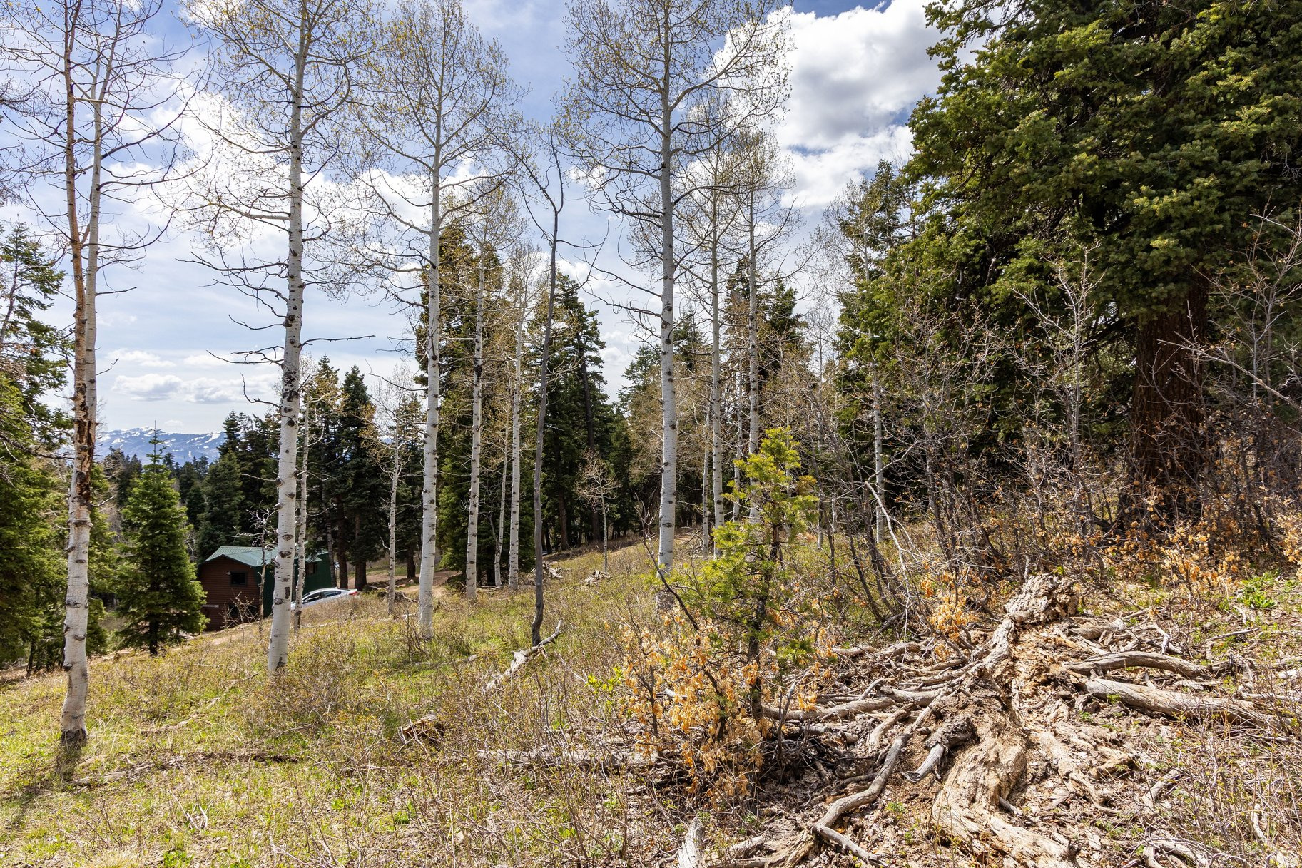 PINE MEADOW RANCH - Land