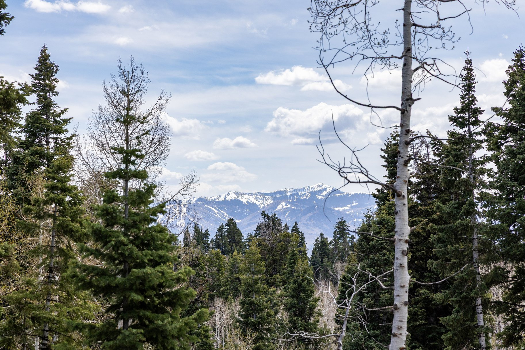 PINE MEADOW RANCH - Land