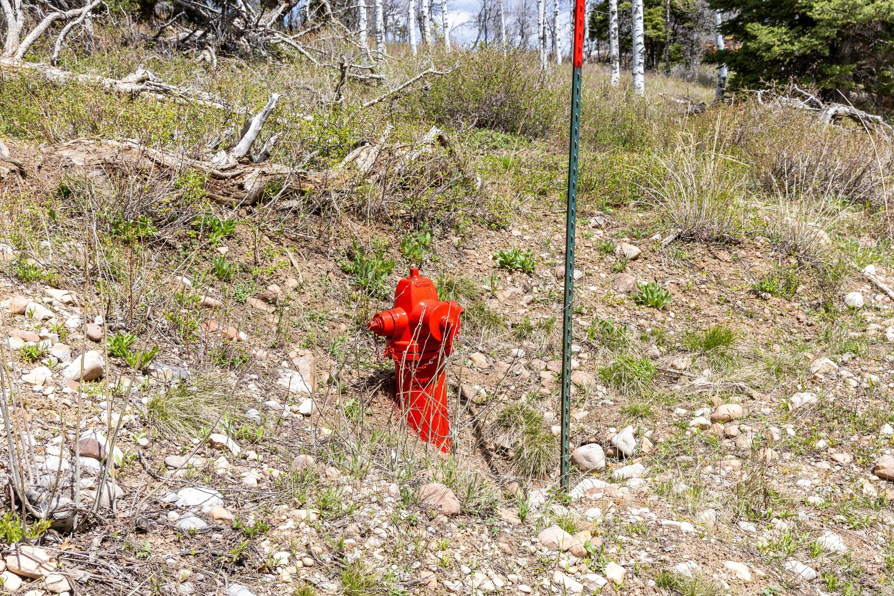 PINE MEADOW RANCH - Land