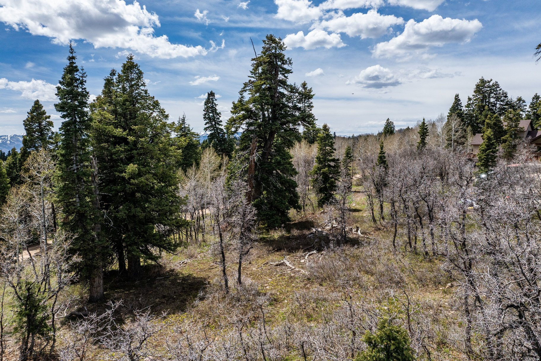 PINE MEADOW RANCH - Land