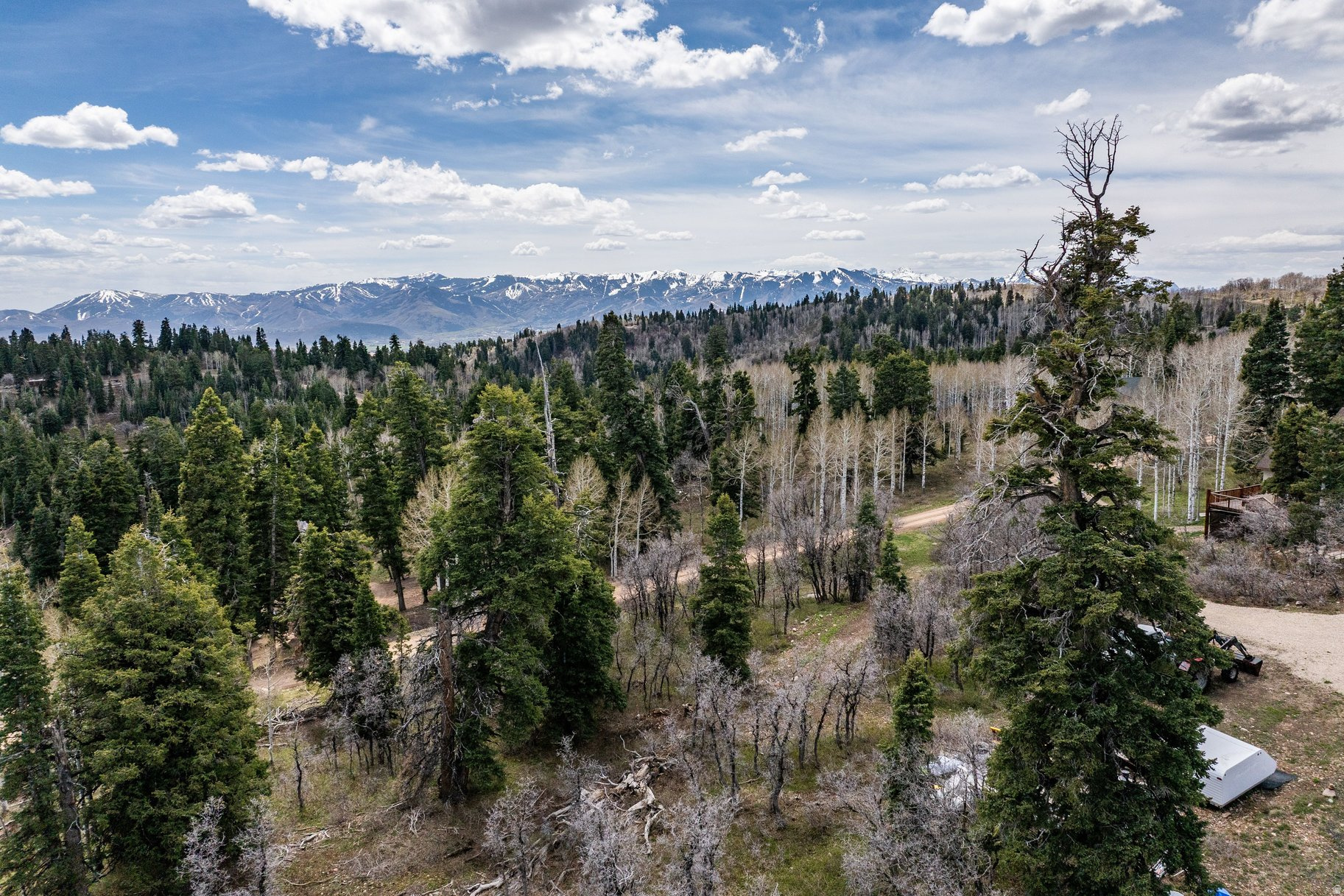 PINE MEADOW RANCH - Land