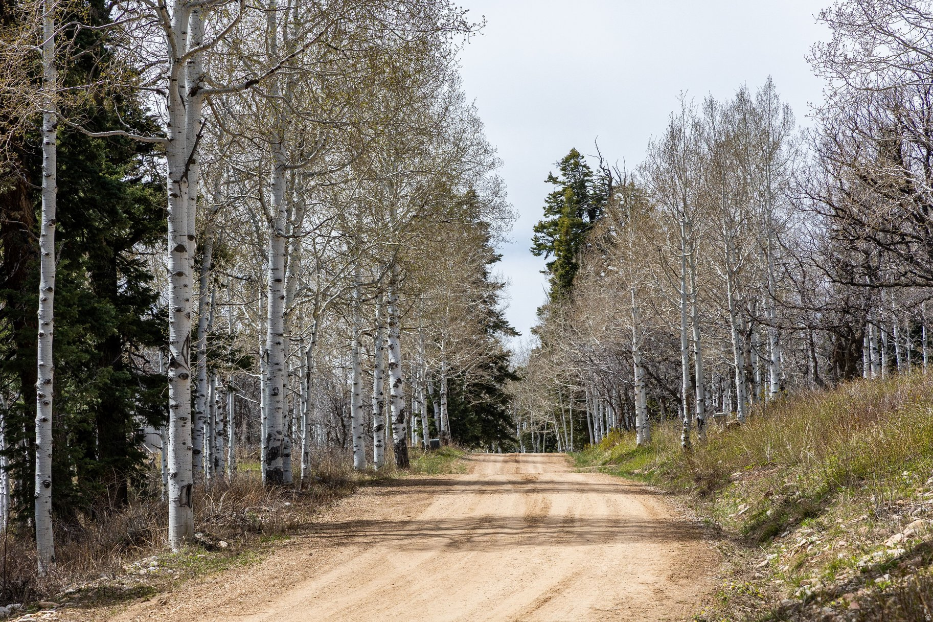 PINE MEADOW RANCH - Land