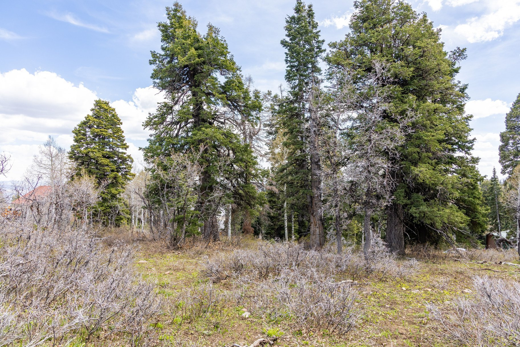 PINE MEADOW RANCH - Land