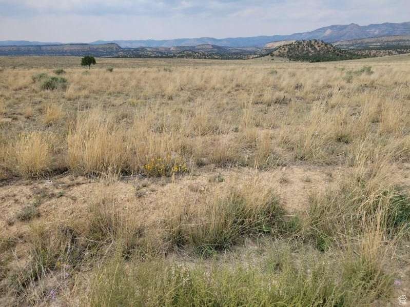 Land, Price, Utah image 5