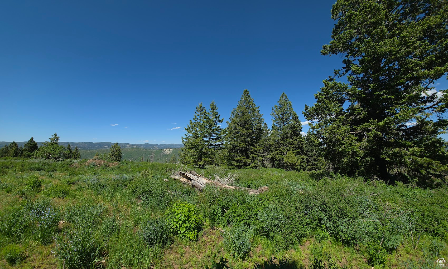 22596 S Snowbird Dr #C31, Spanish Fork, Utah image 9
