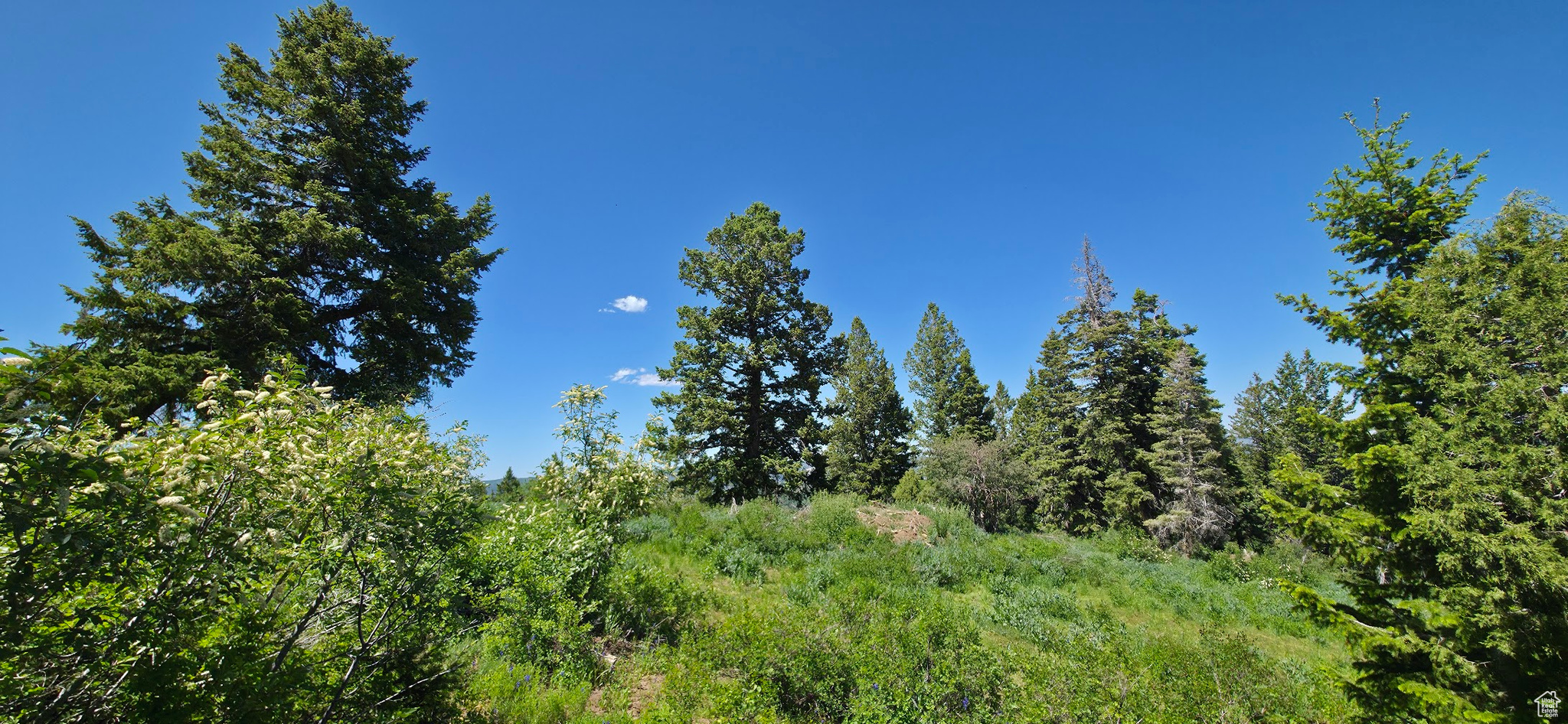 22596 S Snowbird Dr #C31, Spanish Fork, Utah image 16