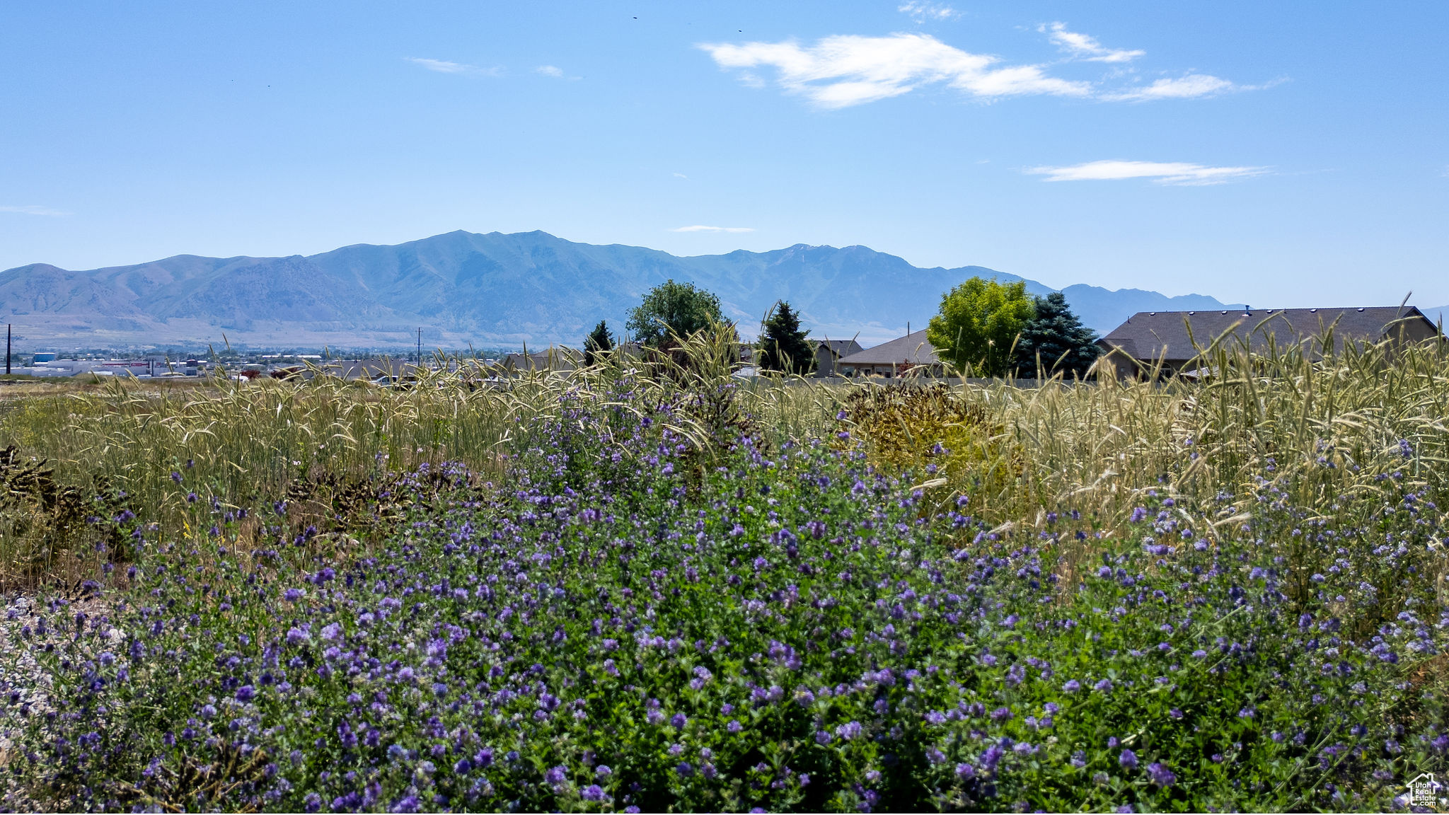 SPRING HOLLOW - Land