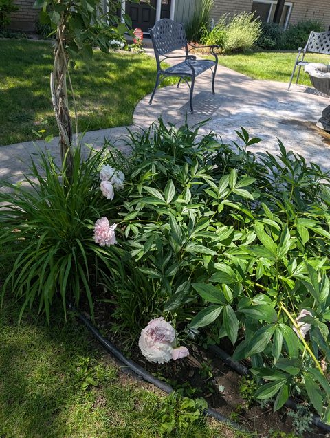 Tiny photo for 1515 E GENTILE ST, Layton, UT 84040 (MLS # 2121897)