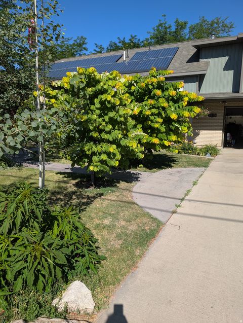 Tiny photo for 1515 E GENTILE ST, Layton, UT 84040 (MLS # 2121897)