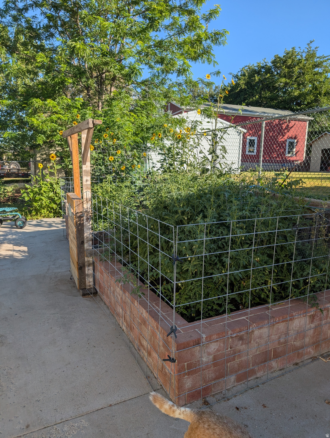 Main image without alt text