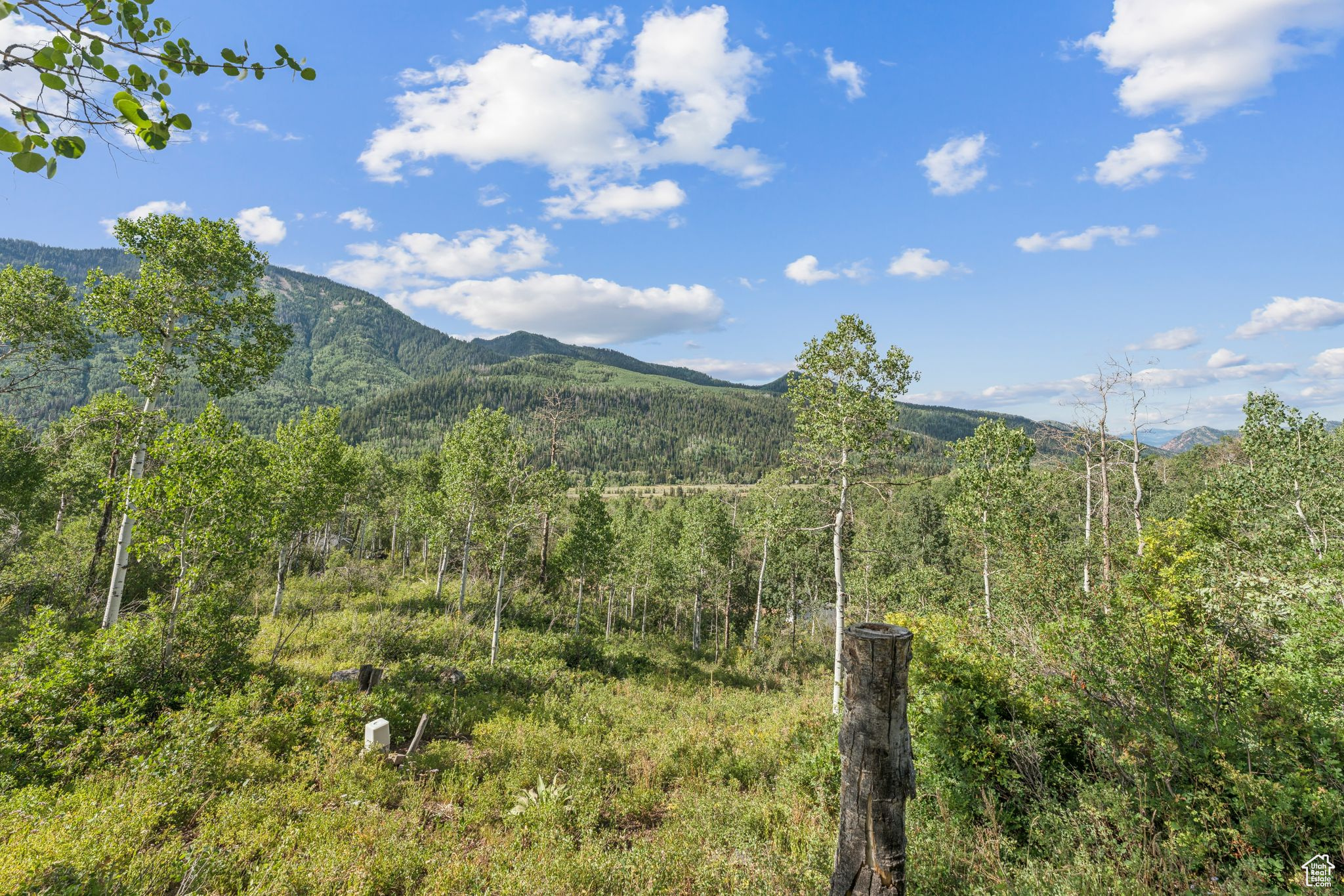ASPEN ACRES - Residential