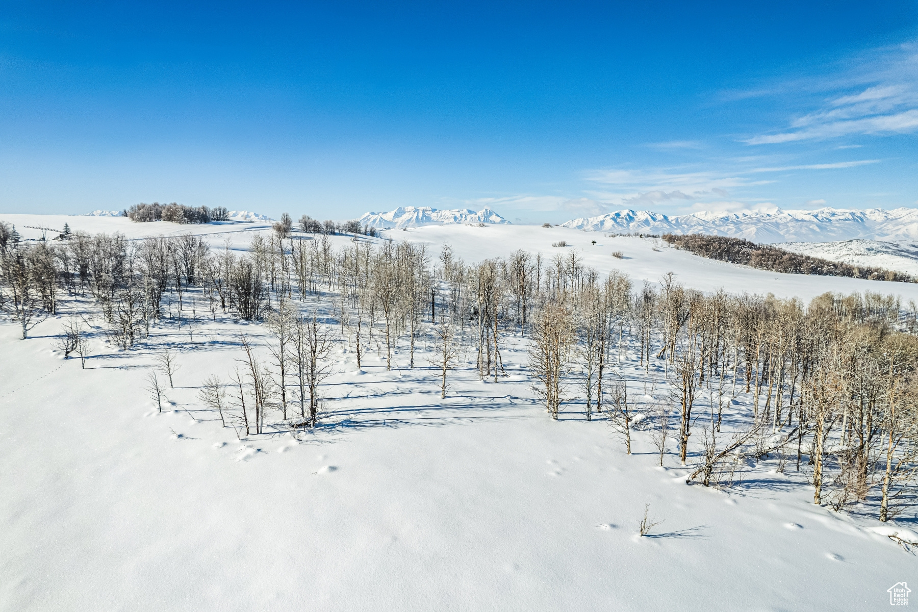 WOLF CREEK RANCH - Land
