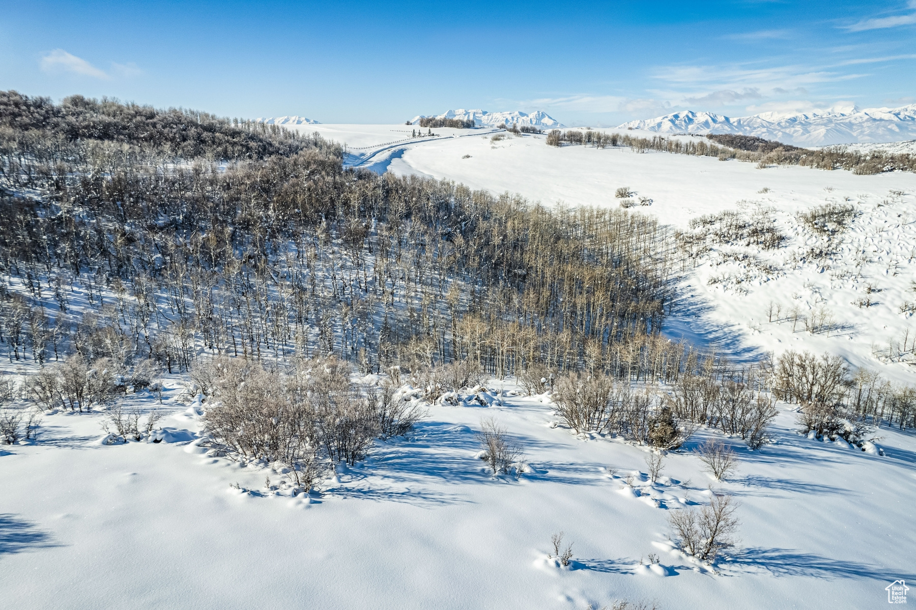 WOLF CREEK RANCH - Land