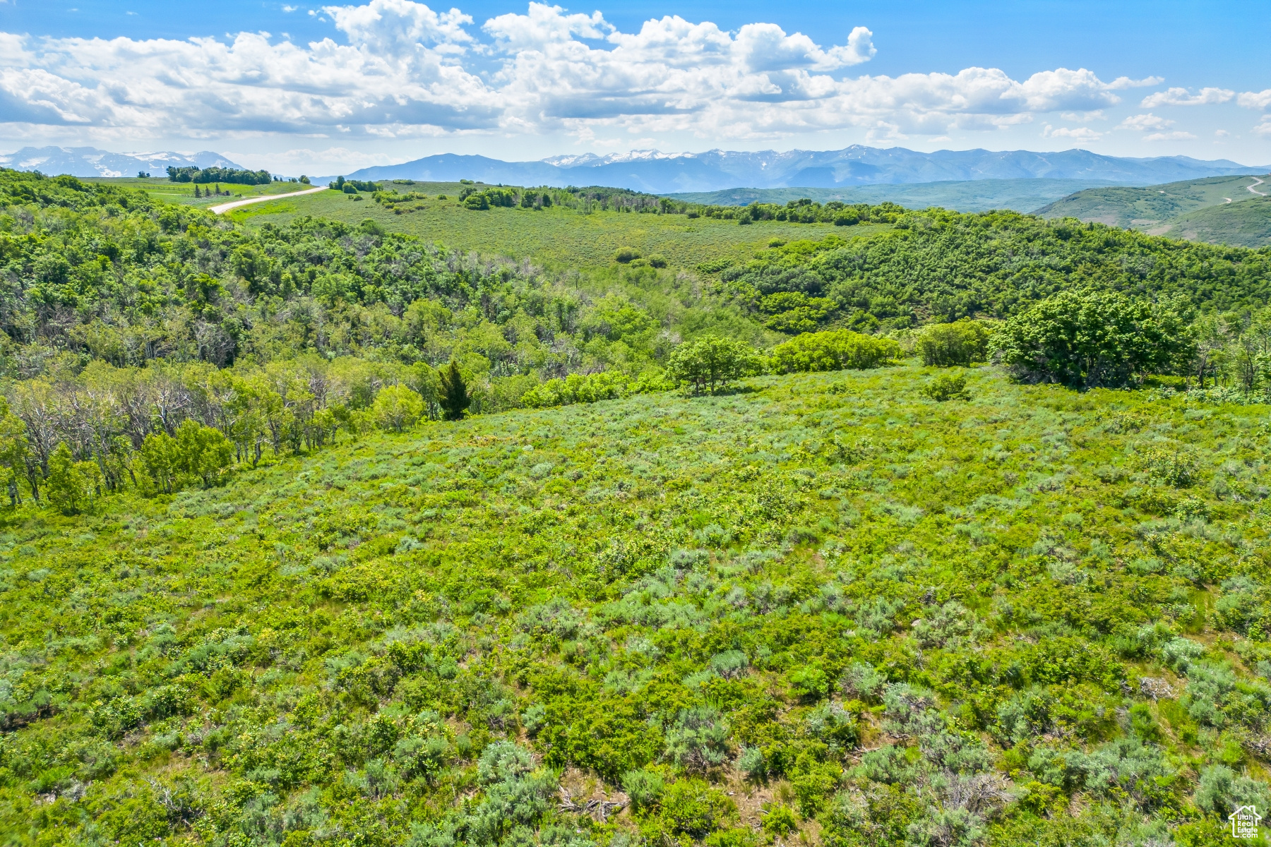 WOLF CREEK RANCH - Land