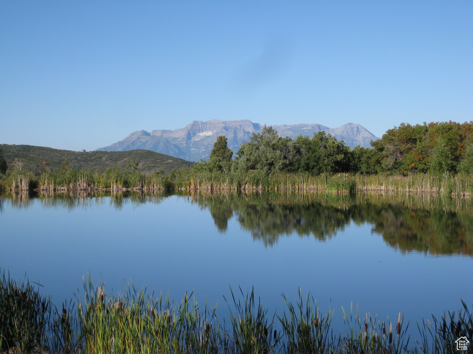 WOLF CREEK RANCH - Land