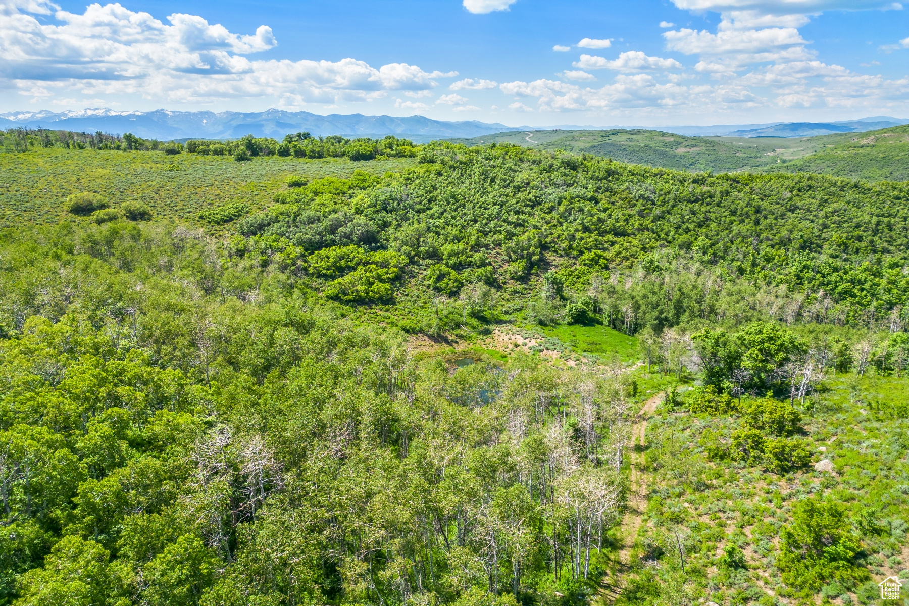 WOLF CREEK RANCH - Land