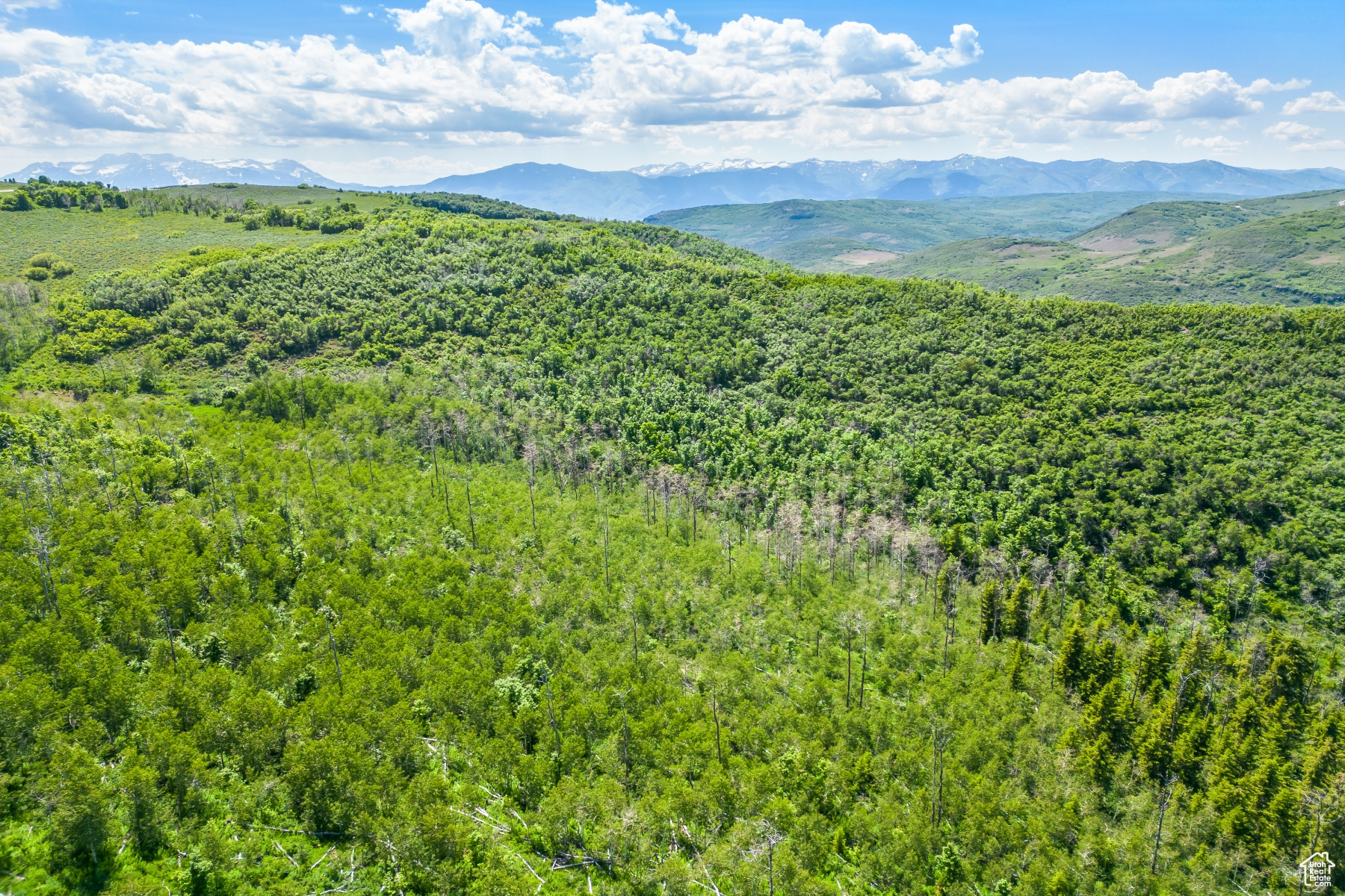 WOLF CREEK RANCH - Land