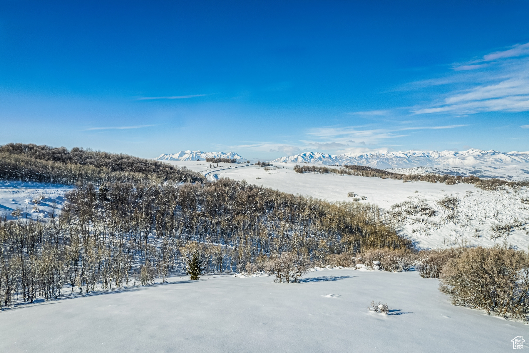 WOLF CREEK RANCH - Land
