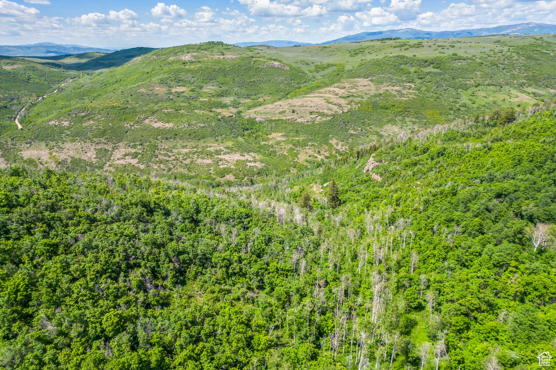 WOLF CREEK RANCH - Land