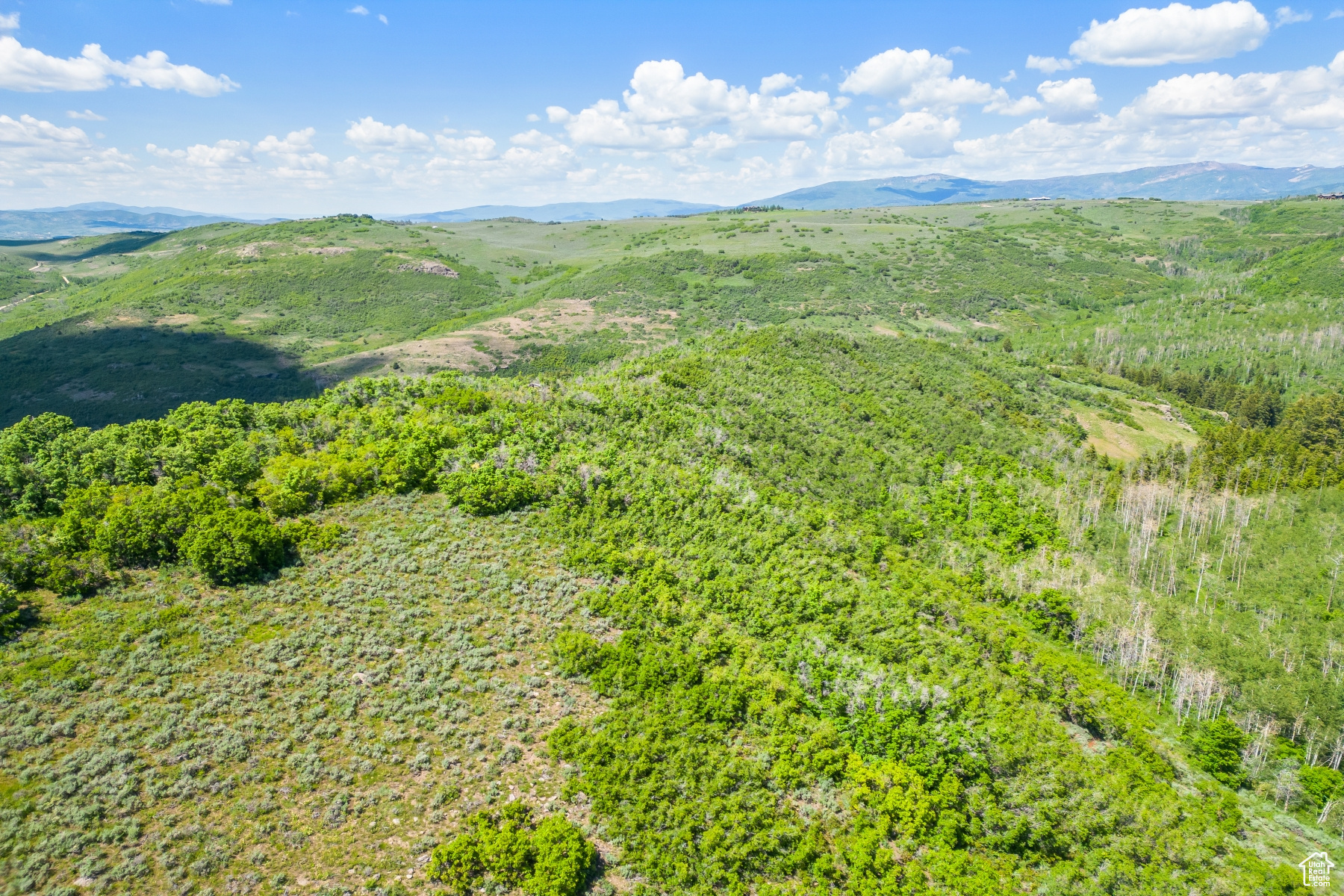 WOLF CREEK RANCH - Land
