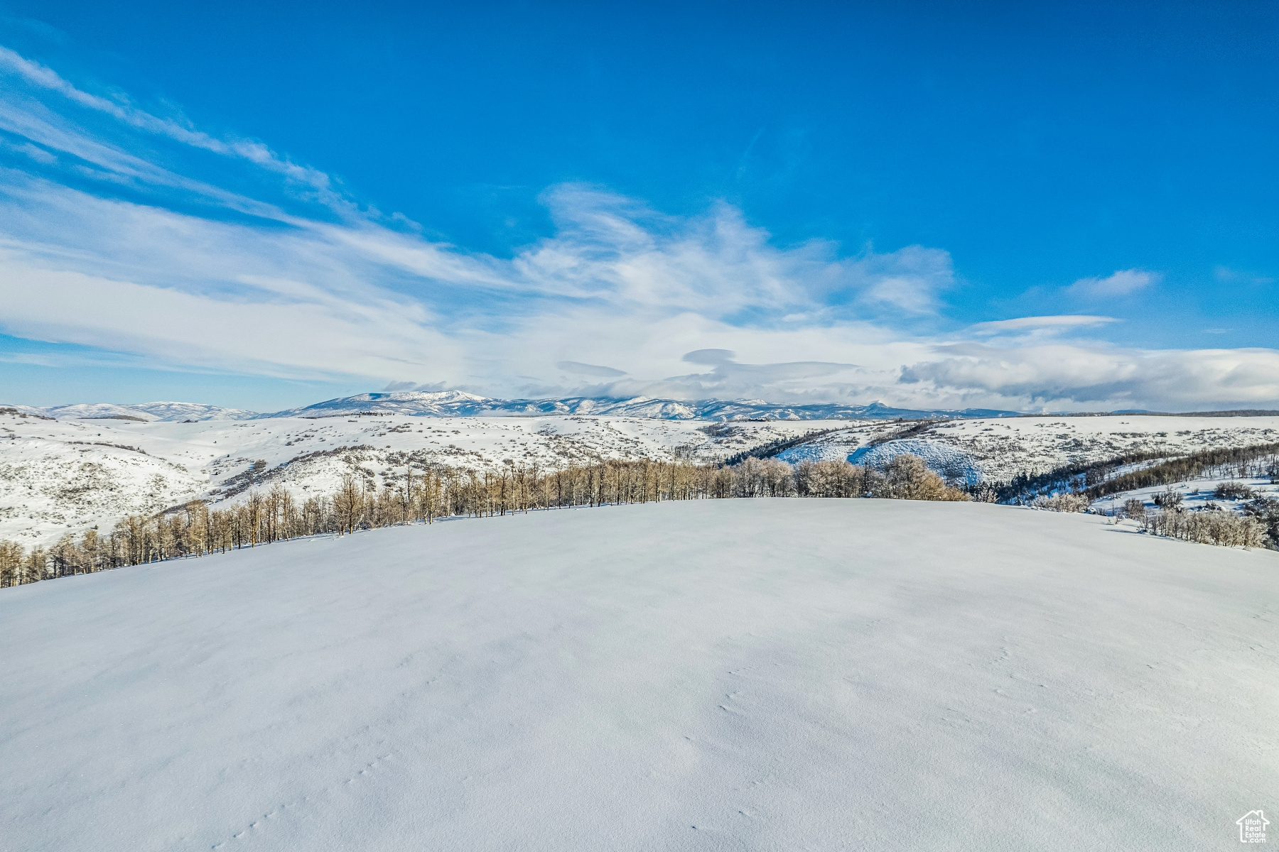 WOLF CREEK RANCH - Land