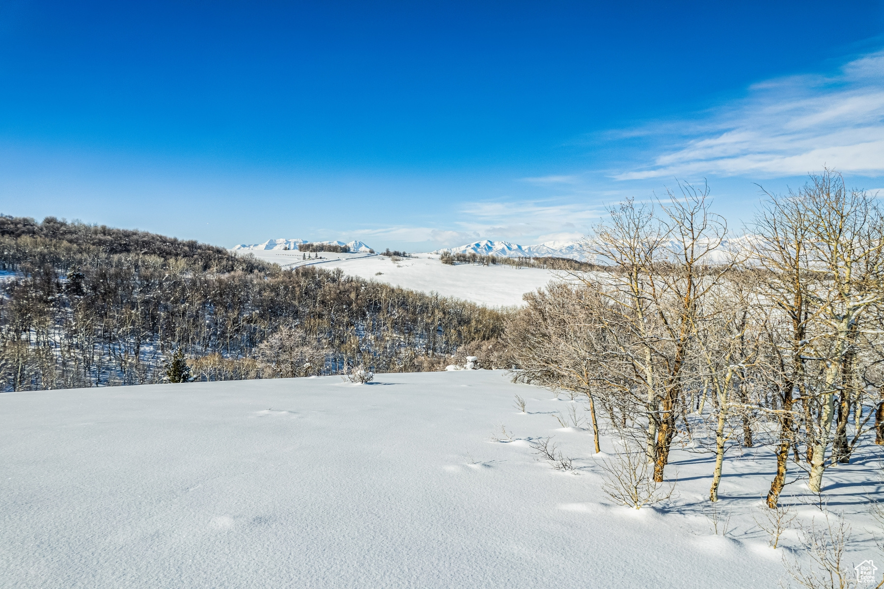WOLF CREEK RANCH - Land