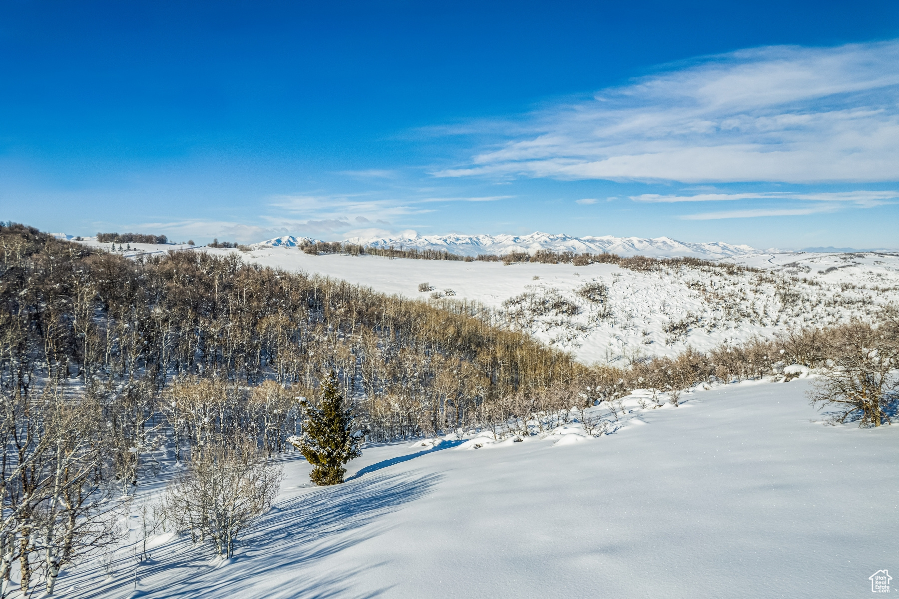 WOLF CREEK RANCH - Land