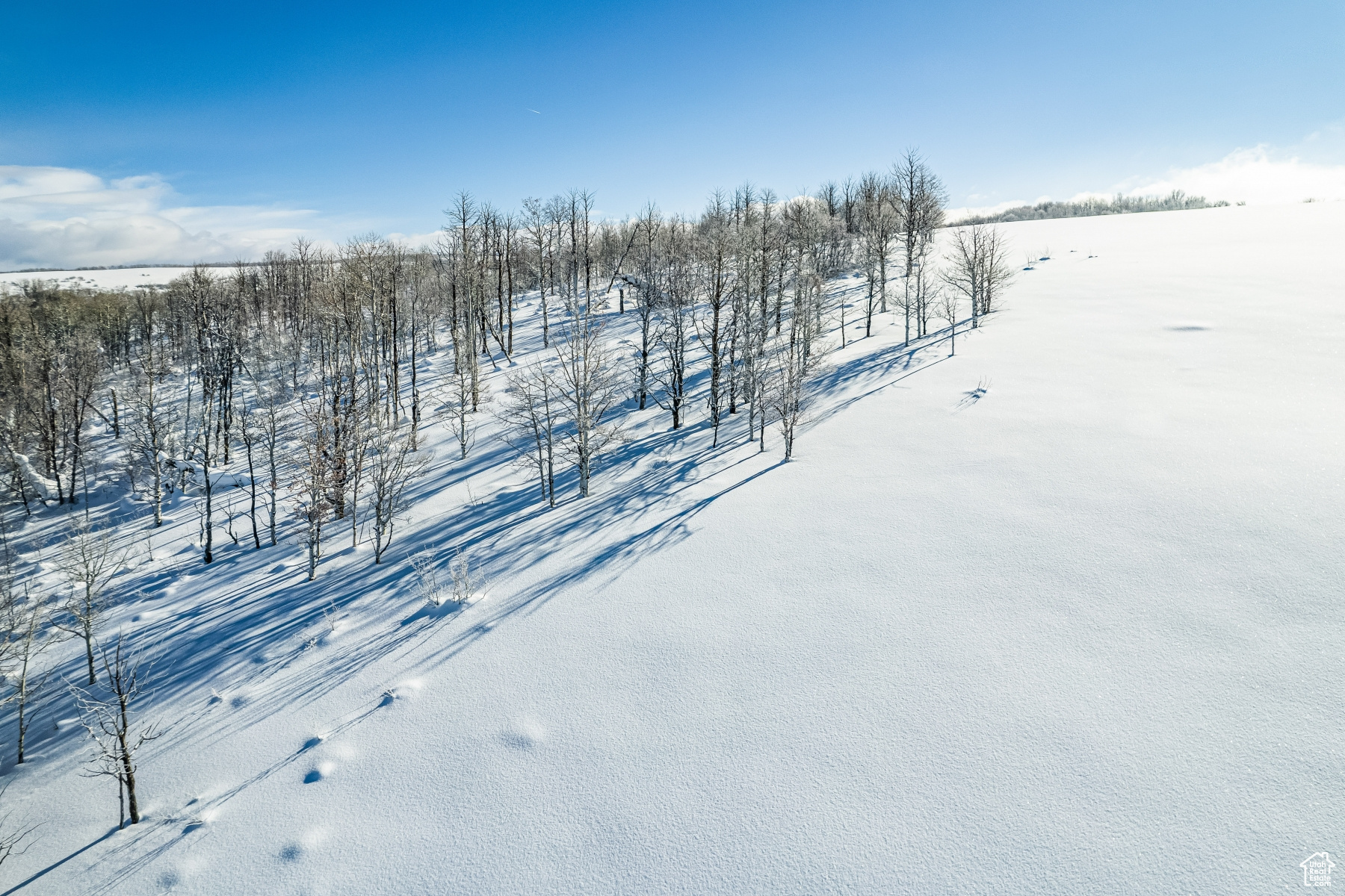 WOLF CREEK RANCH - Land