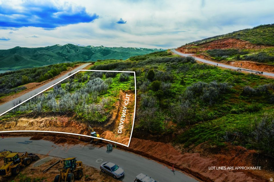 Expansive terraced lot featuring natural vegetation and a clear driveway cut