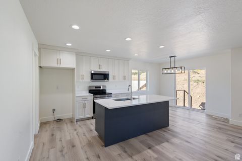 Tiny photo for 1536 N 300 E, Nephi, UT 84648 (MLS # 2117777)