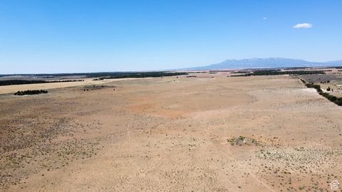 Vacant Land For Sale - 1000 N County Rd 314<br/> Monticello, UT 84535