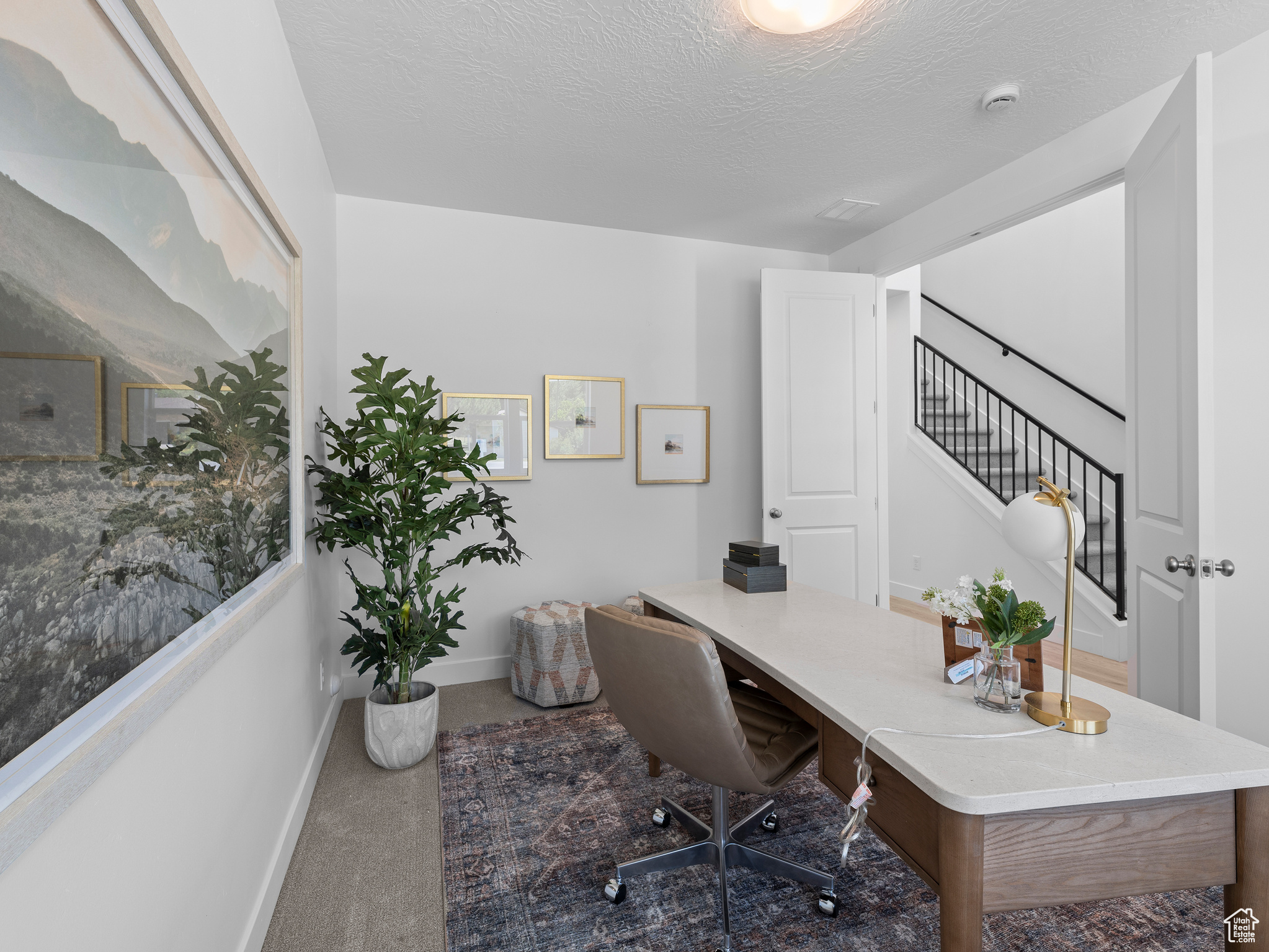 BRISTOL FARMS - Residential