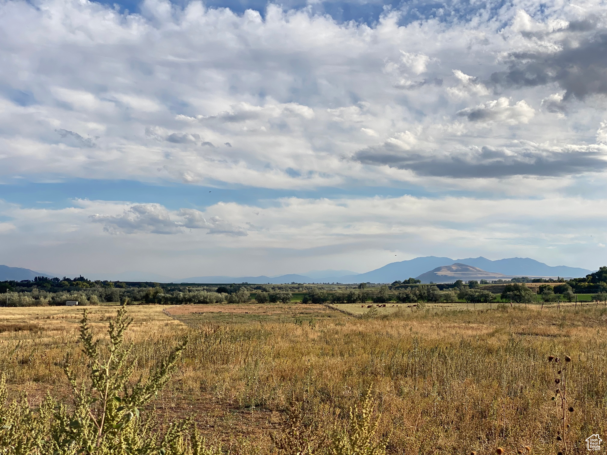 This could be your future home site. Land is currently being used as a pasture and home site. Seller/Owner is a licensed agent. PLEASE NOTE - The Bear River Bridge on 3600 S is closed. Access is only available if you come from the west. If you are using GPS, please put 1850 W 3600 S PRESTON (not Weston) to get you to the property.