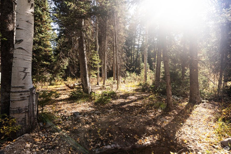 Three acres of Big Cottonwood Canyon, ready to build, at a new listing price. New infrastructure is coming soon as well. Power lines recently buried for fire prevention. Fiber internet is currently under arrangement for installation by the city. An additional 10,000 Gallon water tank was installed in 2024. In discussion now are also electric gates. Sited at the base of Kessler Peak and Cardiff Fork, this creekside property enjoys exceptional cross canyon views, extensive trail access, and arguably the best backcountry skiing access Utah has to offer. This is a very rare opportunity to own one of the largest, buildable lots available in Big Cottonwood Canyon of late. At the base of the property is a gorgeous creek, heard and viewed year round from potential building sites. This private road offers expansive wilderness right outside your back door with world-class ski resorts only minutes away. Big Cottonwood Canyon, home to the Best Snow on Earth, provides access only minutes away to Solitude and Brighton ski resorts. World class Big Cottonwood Canyon backcountry in your backyard, which also gives access to Snowbird and Alta resorts Guardsman Pass offers seasonal access to Deer Valley and Park City Main Street in under 30 minutes. Four-season property access provides for year-round enjoyment and outdoor activities. Hiking trails abound, including: Lake Blanche, Mineral Fork, Donut Falls, Dog Lake, Desolation Lake, Silver Lake, and Lake Mary. Cardiff Pass trails provide access to Snowbird and Alta for summer hiking and winter ski touring. Mountain biking trails not only weave through Big Cottonwood Canyon but connect to Park City and Deer Valley Mountain Resort. Rock climbing in Big Cottonwood Canyon offers hundreds of routes on dozens of crags with excellent terrain for beginners and advanced climbers alike. Fall brings incredible colors for leaf peeping, bird watching, fly fishing, and photography. Visitors travel the world to visit the canyon but the Cardiff community offers solitude and a secluded backcountry paradise in the midst of it all.