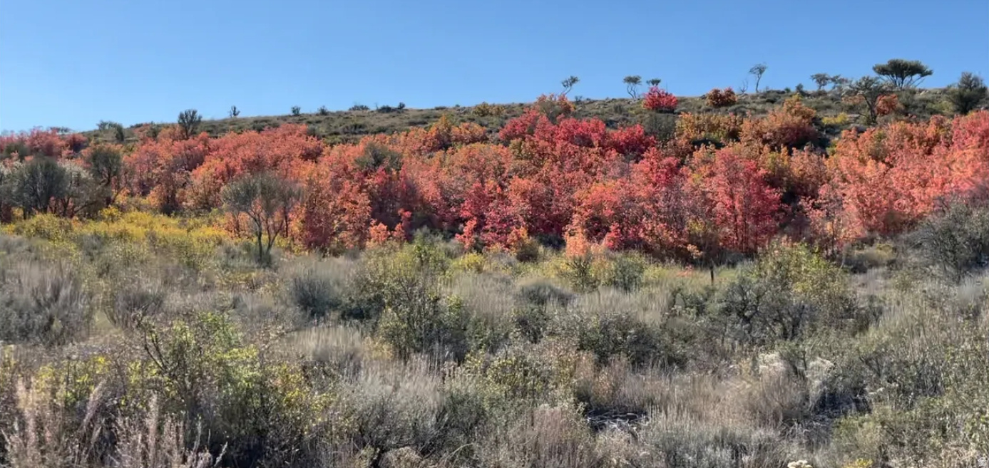 BEAR LAKE SUB - Land