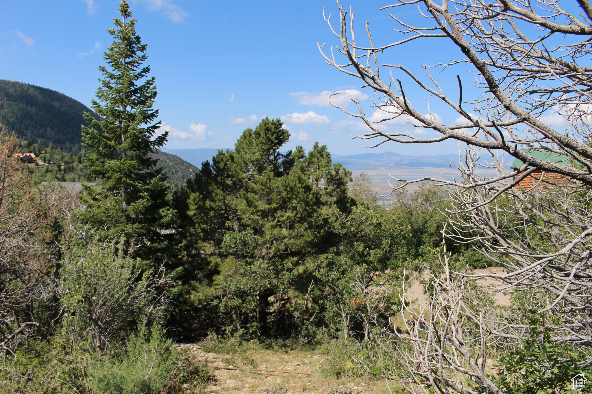 CEDAR HIGHLANDS SUBDIVISION - Land