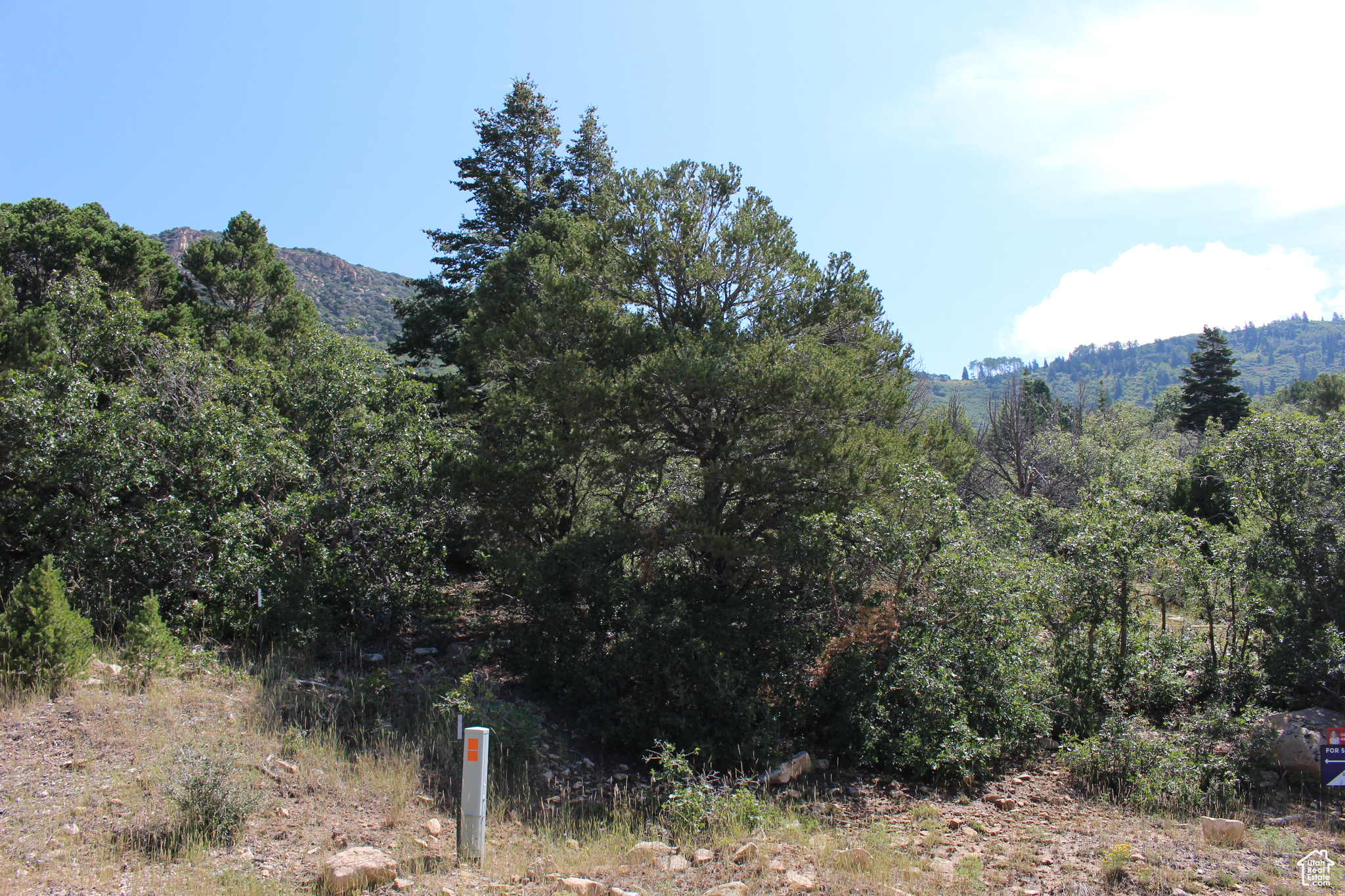 CEDAR HIGHLANDS SUBDIVISION - Land